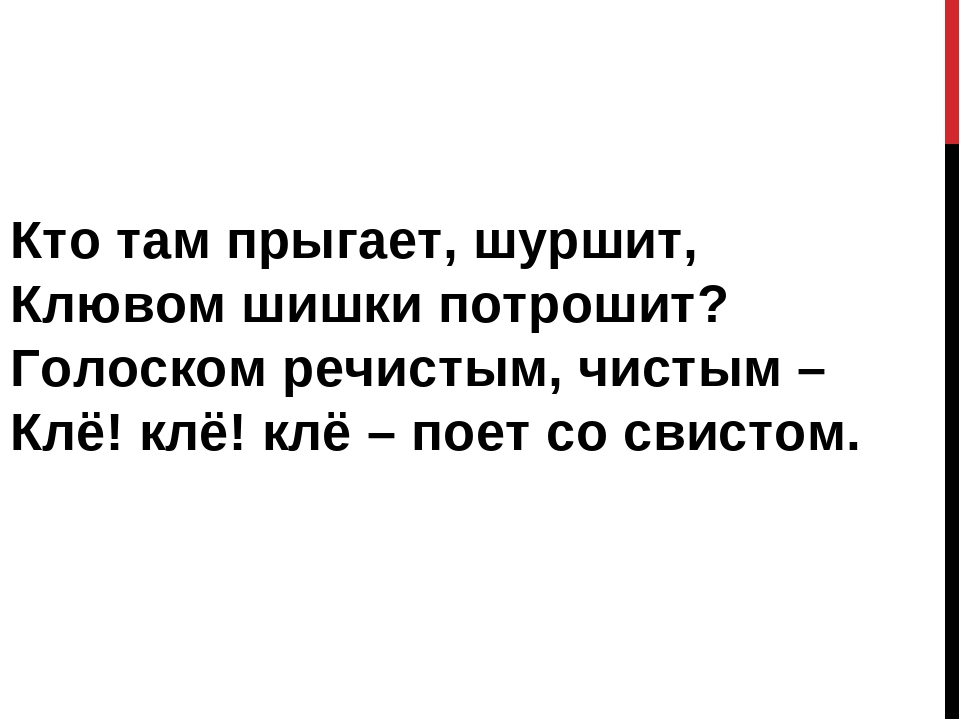 Картотека на тему: "Загадки про зимующих птиц"