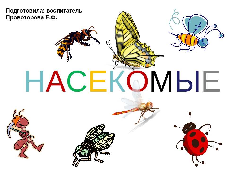 Презентация на тему:"НЕВЕРОЯТНЫЕ ФАКТЫ ИЗ ЖИЗНИ НАСЕКОМЫХ"