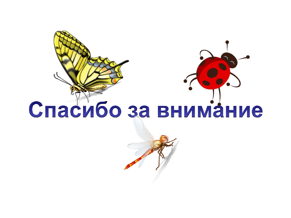 Презентация на тему:"НЕВЕРОЯТНЫЕ ФАКТЫ ИЗ ЖИЗНИ НАСЕКОМЫХ"