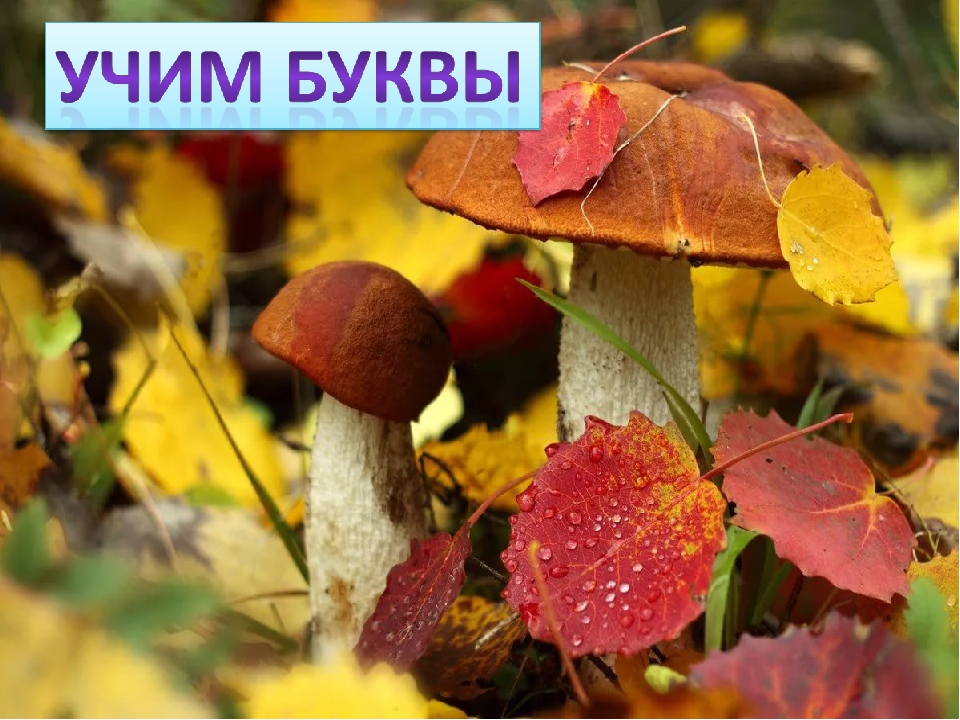 Презентация. Учим буквы. Буква О.