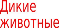 Shape16