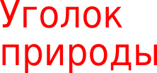 Shape19