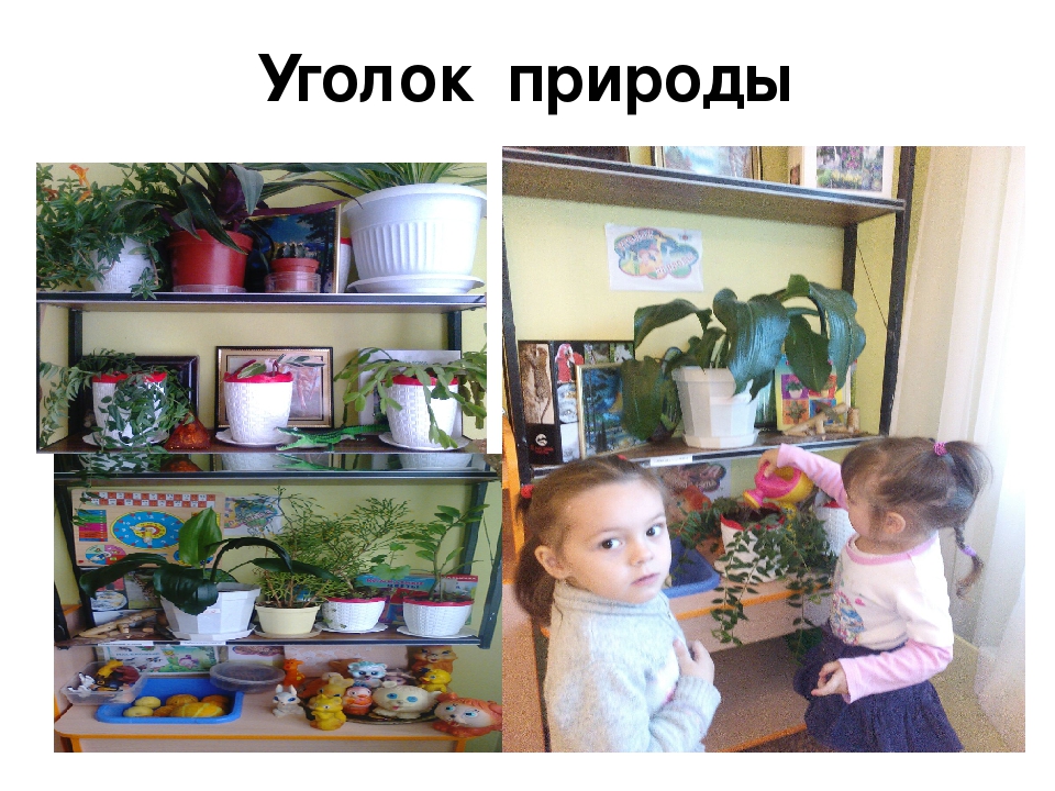 Презентация Предметно развивающая среда