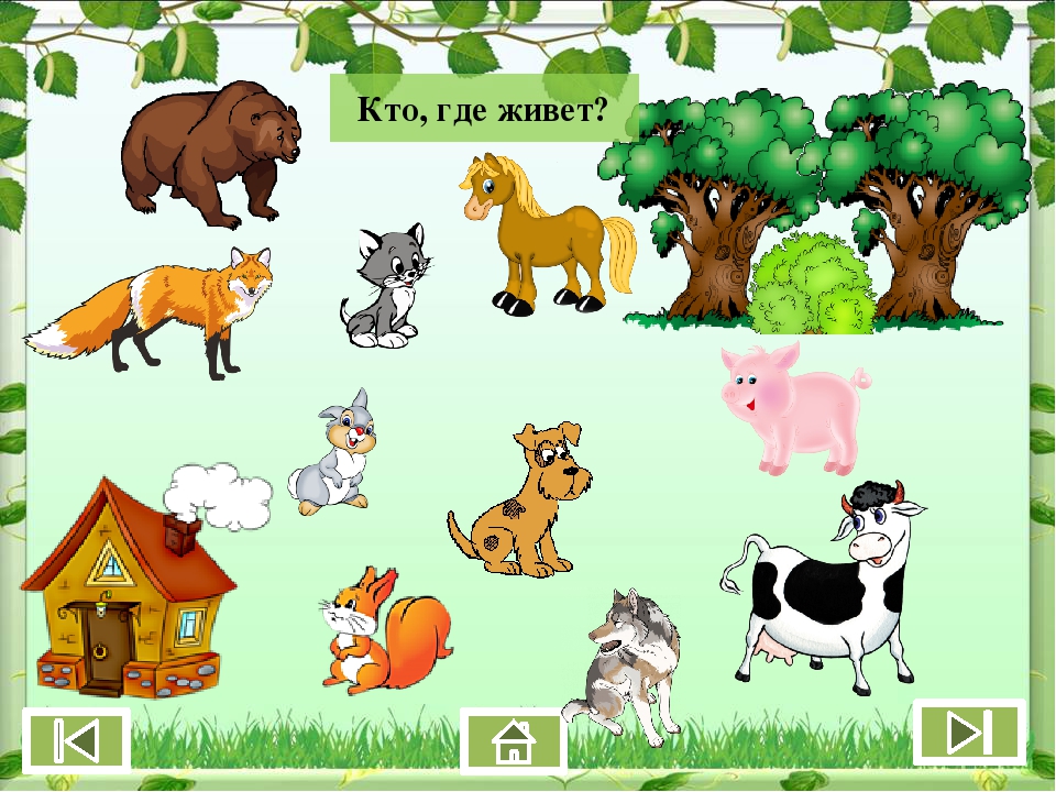Интерактивная игра «Дикие и домашние животные»