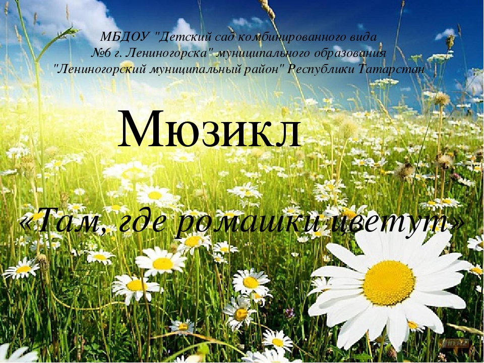 Презентация к мюзиклу "Там, где ромашки цветут"