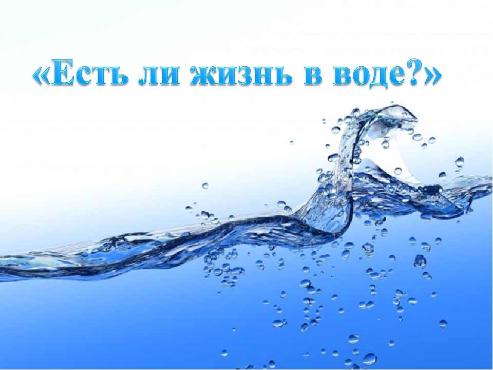 Презентация по экологии ДОУ