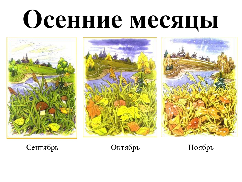 Презентация Тема "Времена года"