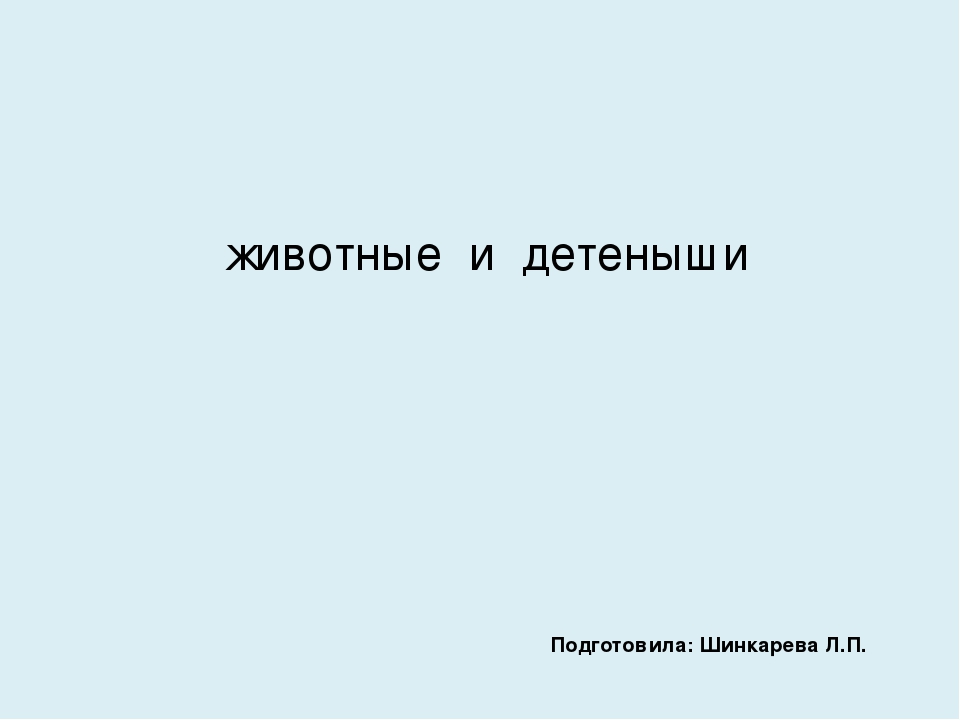 Презентация на тему: "Животные и детеныши"