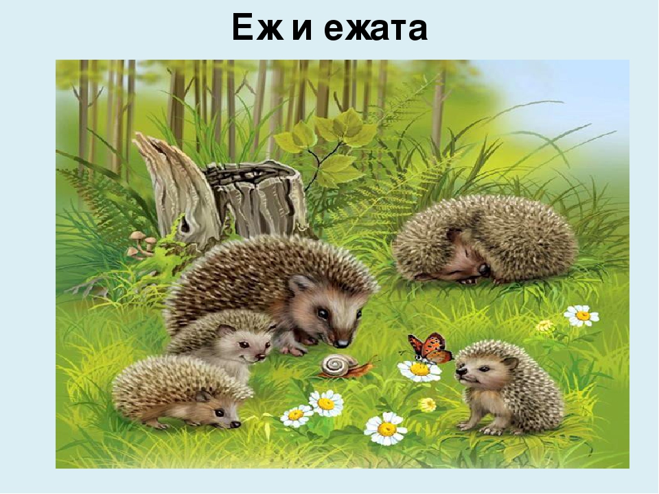 Презентация на тему: "Животные и детеныши"