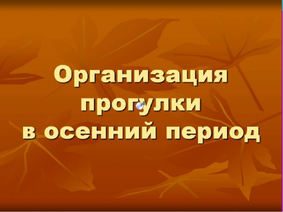 Презентация . Организация прогулки в ДОУ.