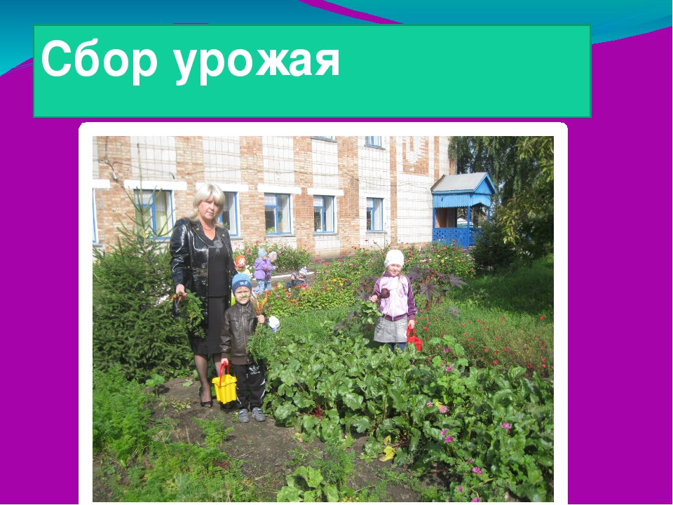 Презентация . Организация прогулки в ДОУ.