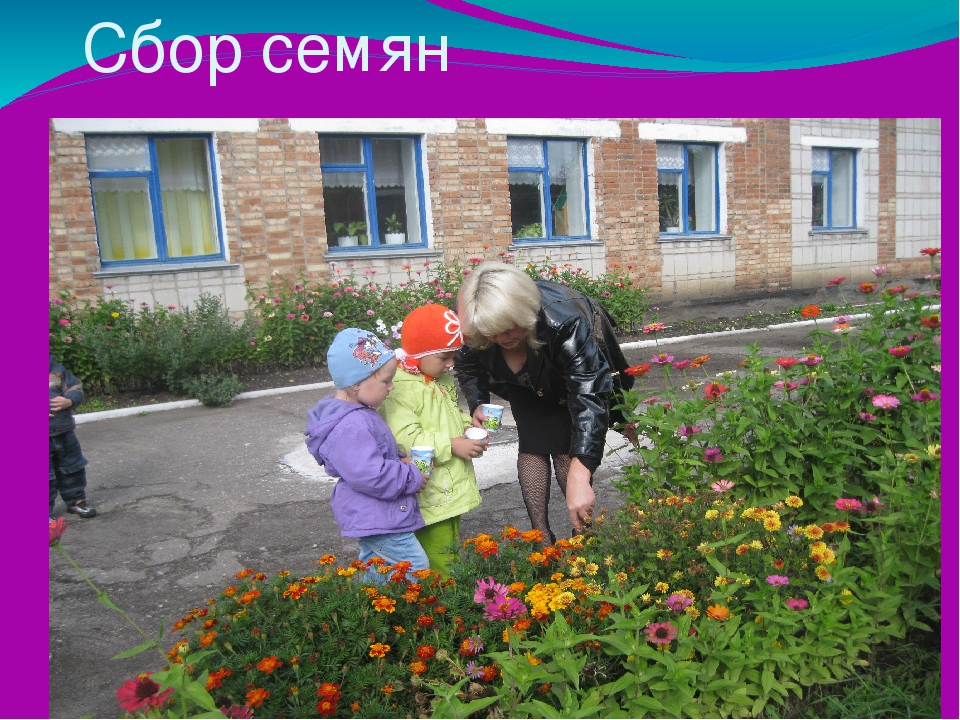 Презентация . Организация прогулки в ДОУ.