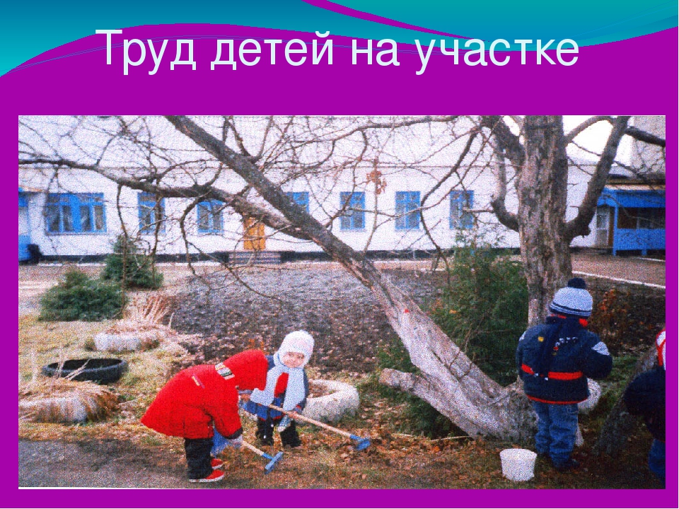 Презентация . Организация прогулки в ДОУ.