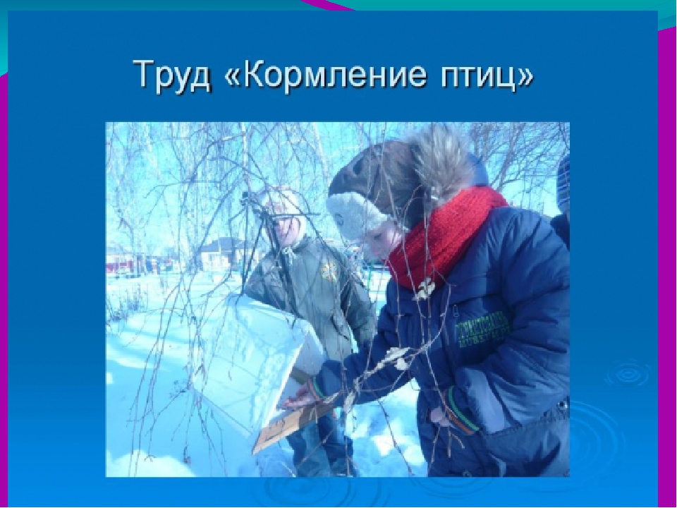 Презентация . Организация прогулки в ДОУ.