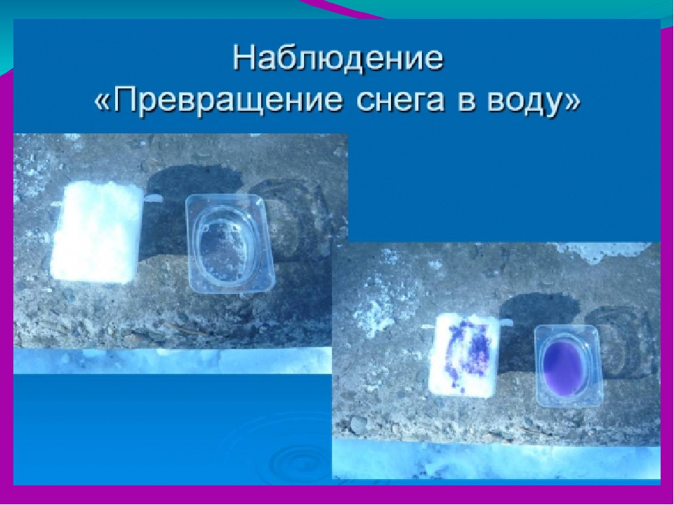 Презентация . Организация прогулки в ДОУ.
