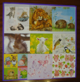 Picture 7