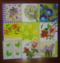 Picture 8