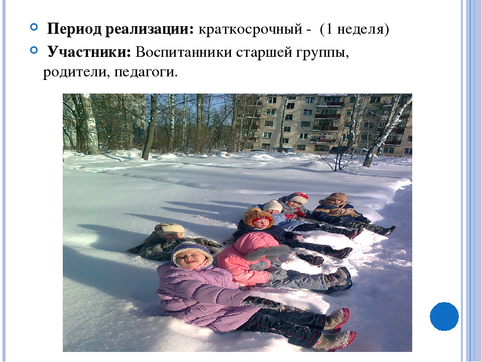 Презентация "Терем для деда мороза"
