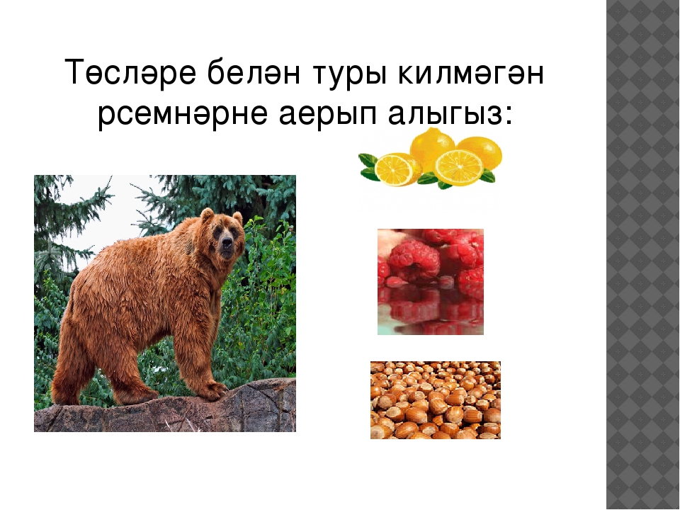 Презентация по НРК на тему "Радужные цвета"