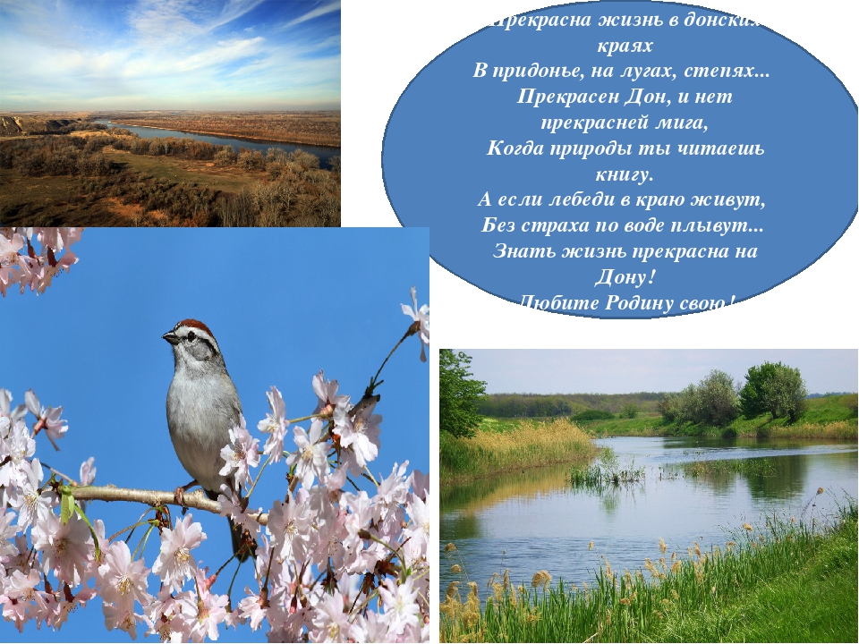 "Наша Родина - Донской край"