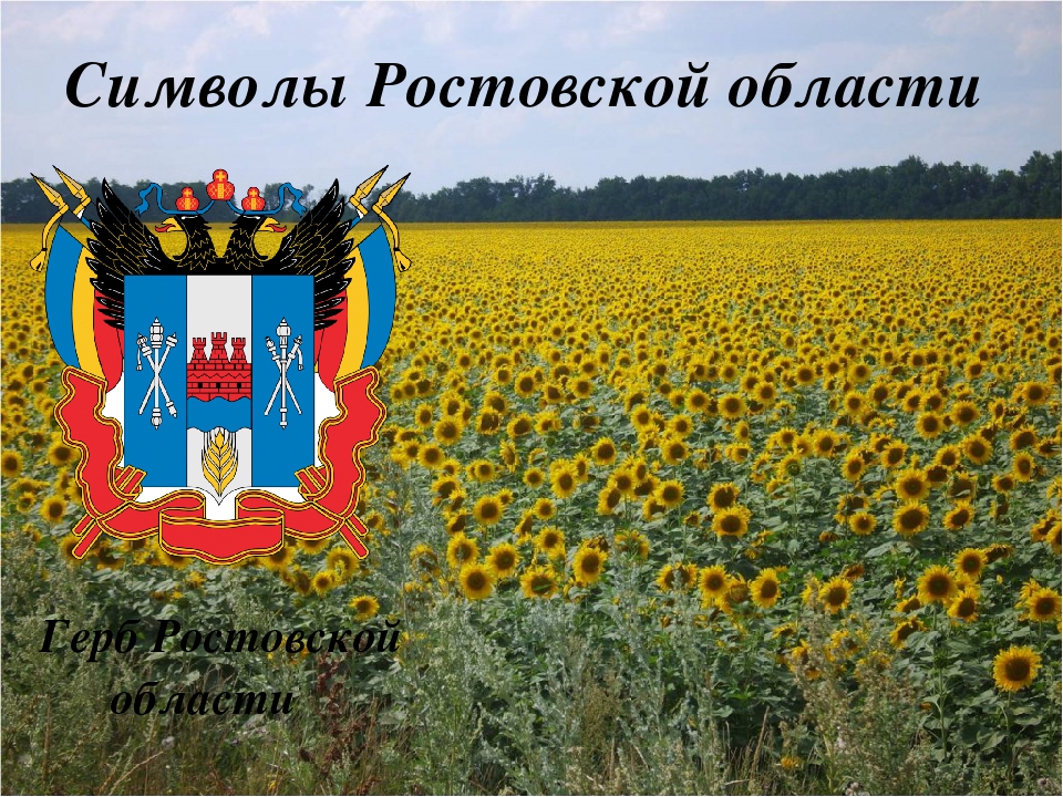 "Наша Родина - Донской край"