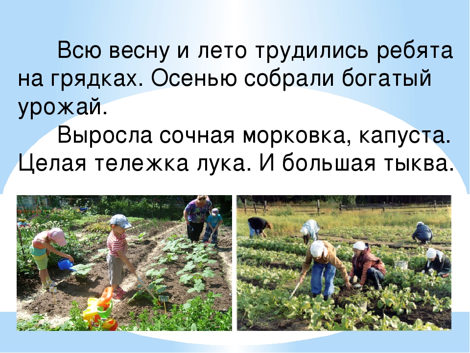 Презентация "Фрукты и овощи"
