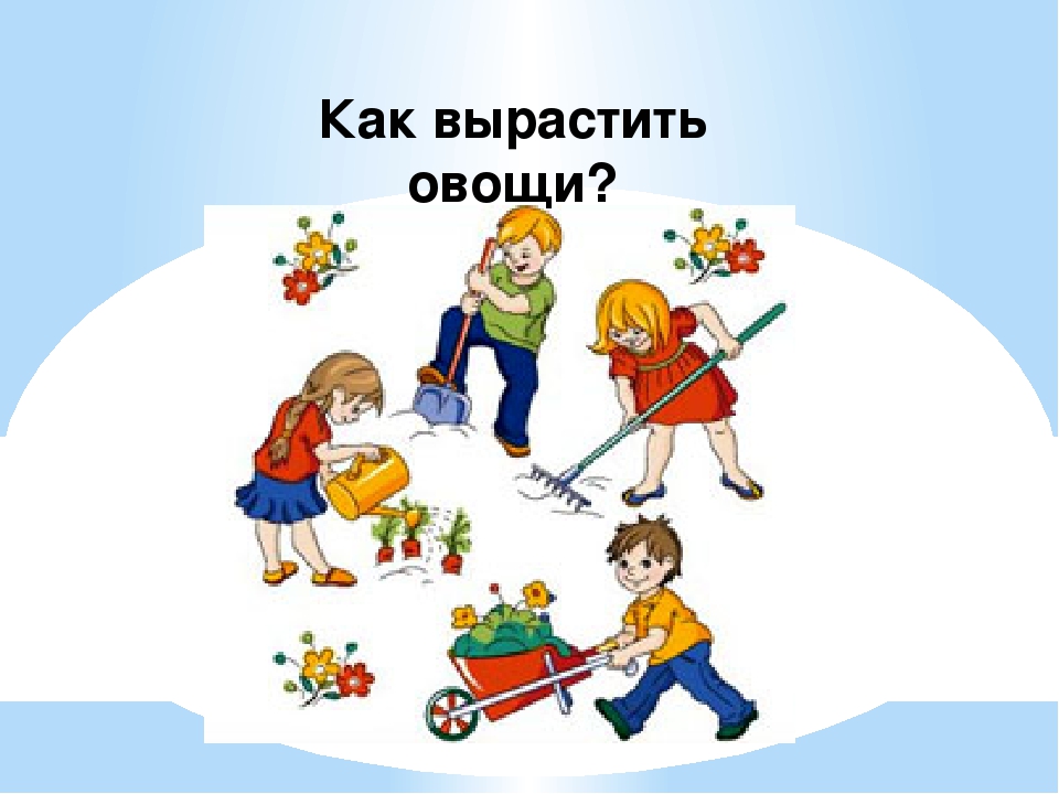 Презентация "Фрукты и овощи"