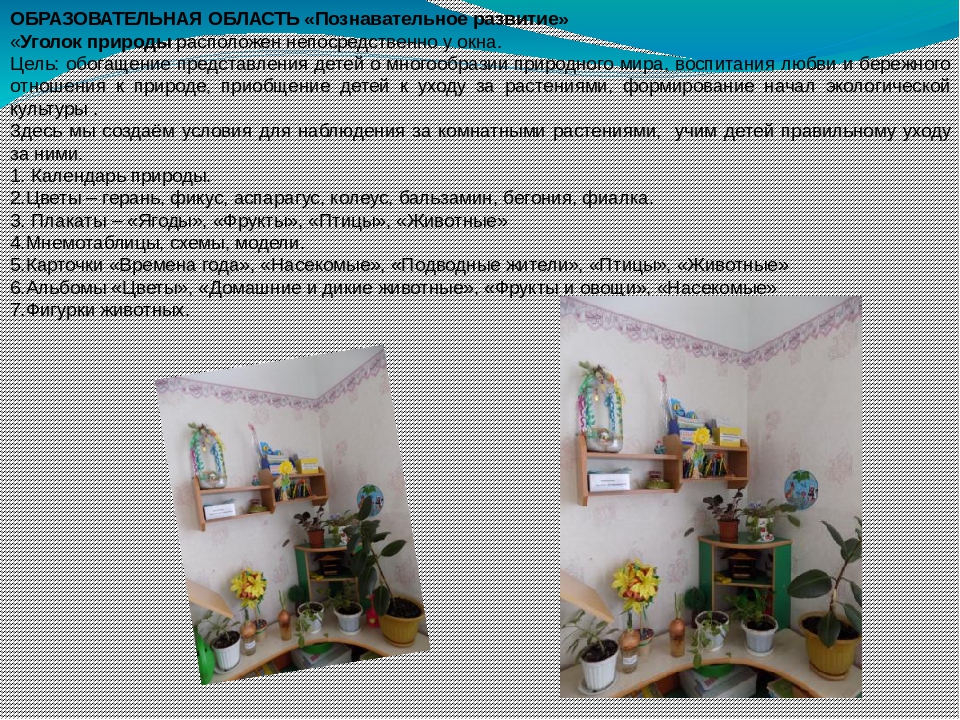 Развивающая среда в группе