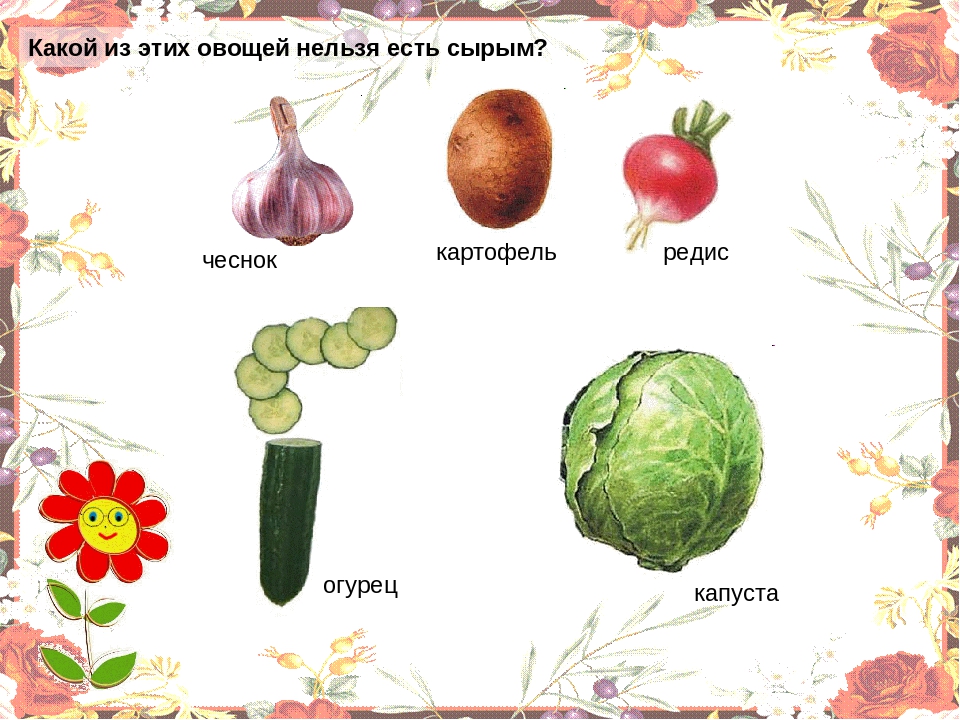 Презентация "Овощи" для младшей группы.