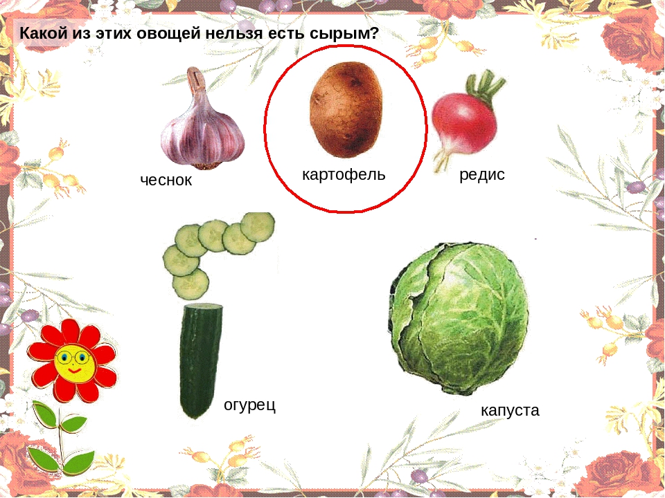 Презентация "Овощи" для младшей группы.