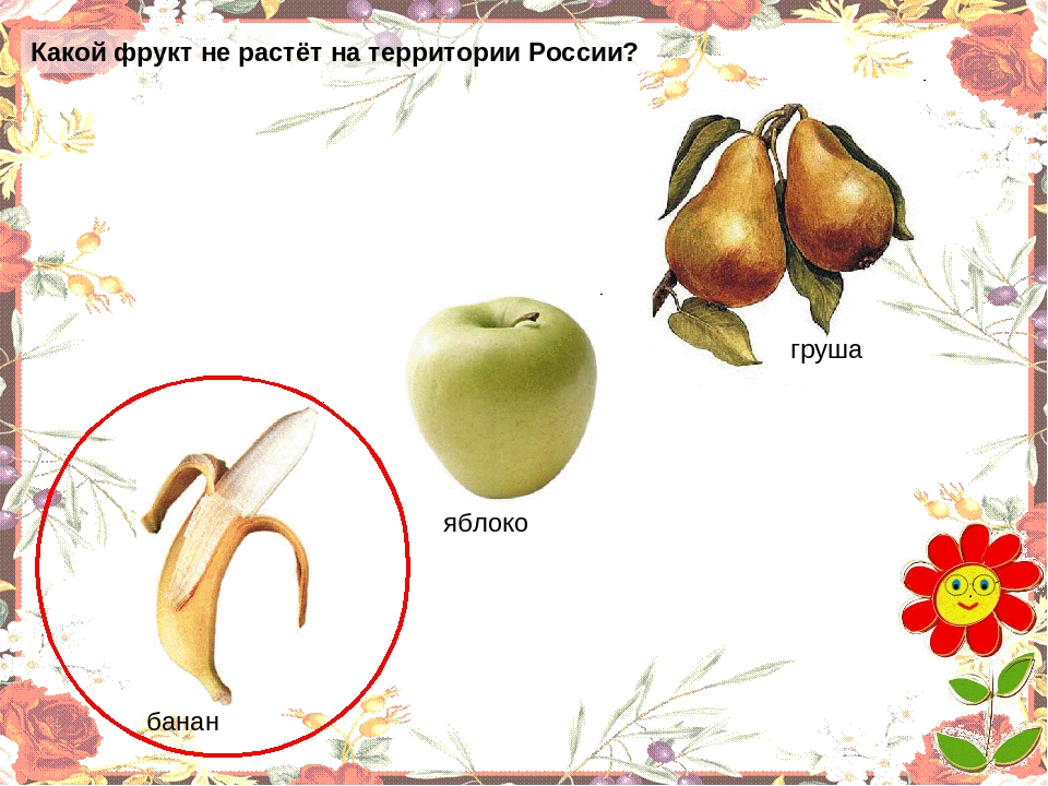 Презентация "Овощи" для младшей группы.