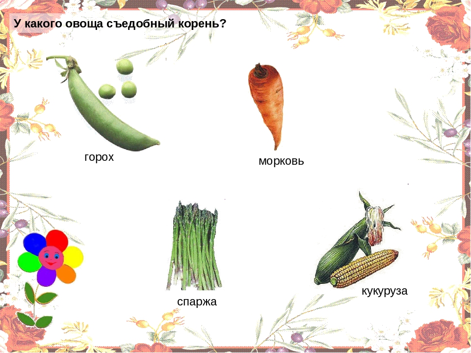 Презентация "Овощи" для младшей группы.