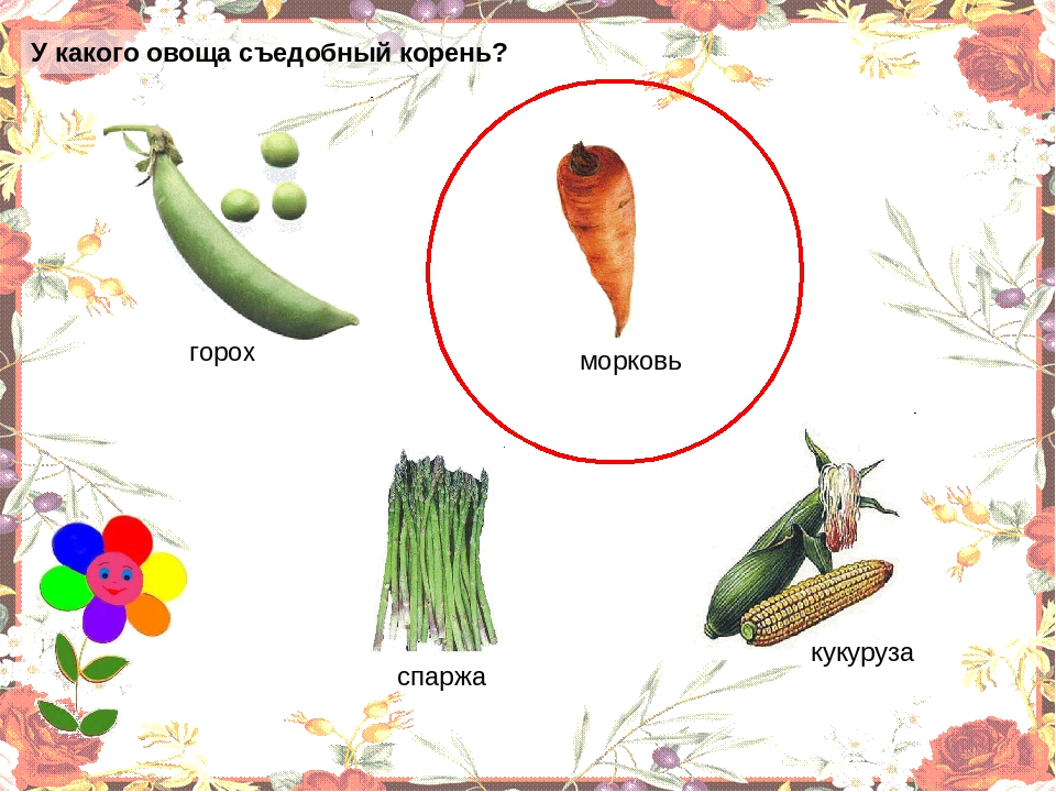 Презентация "Овощи" для младшей группы.
