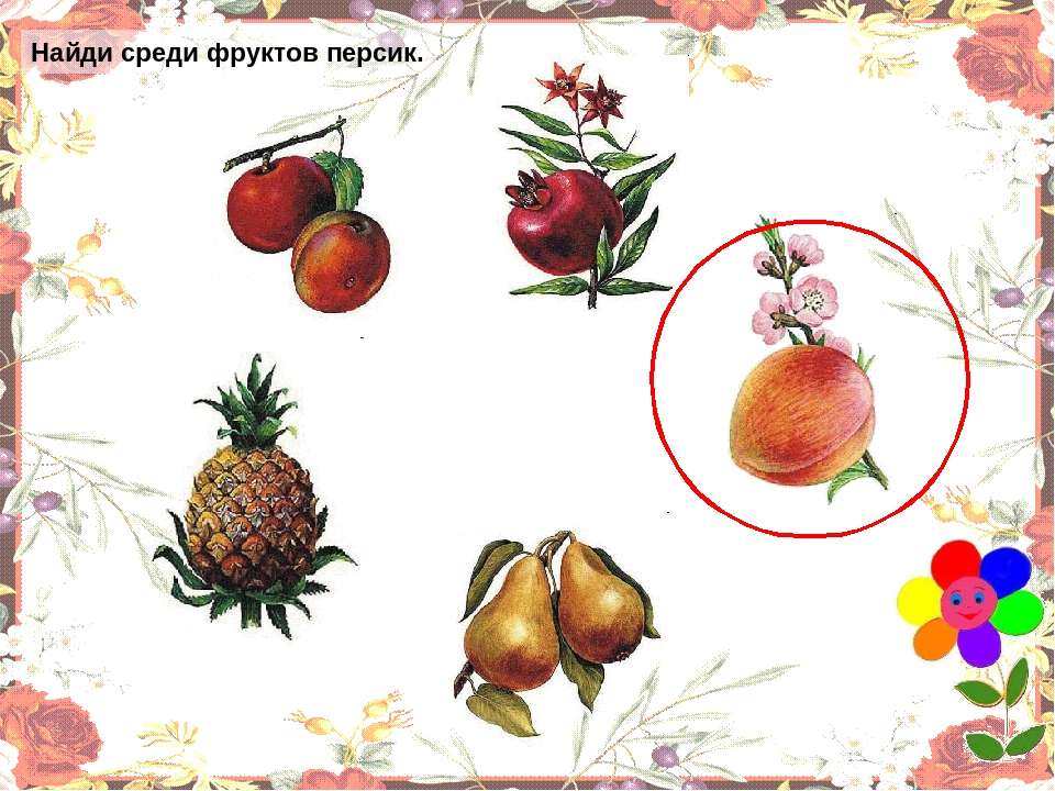 Презентация "Овощи" для младшей группы.