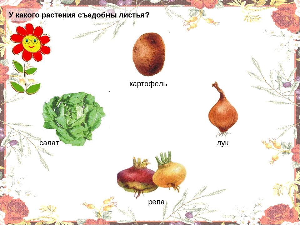 Презентация "Овощи" для младшей группы.