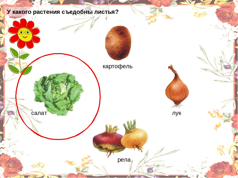 Презентация "Овощи" для младшей группы.