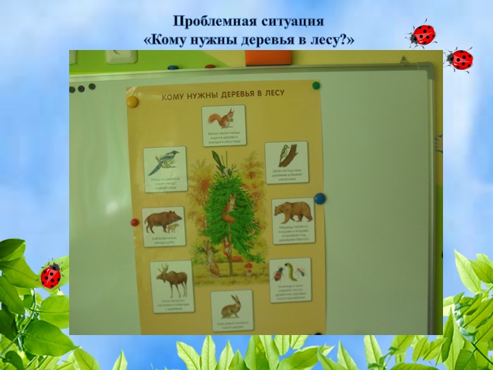Использование проблемных ситуаций для развития познавательной активности дошкольников