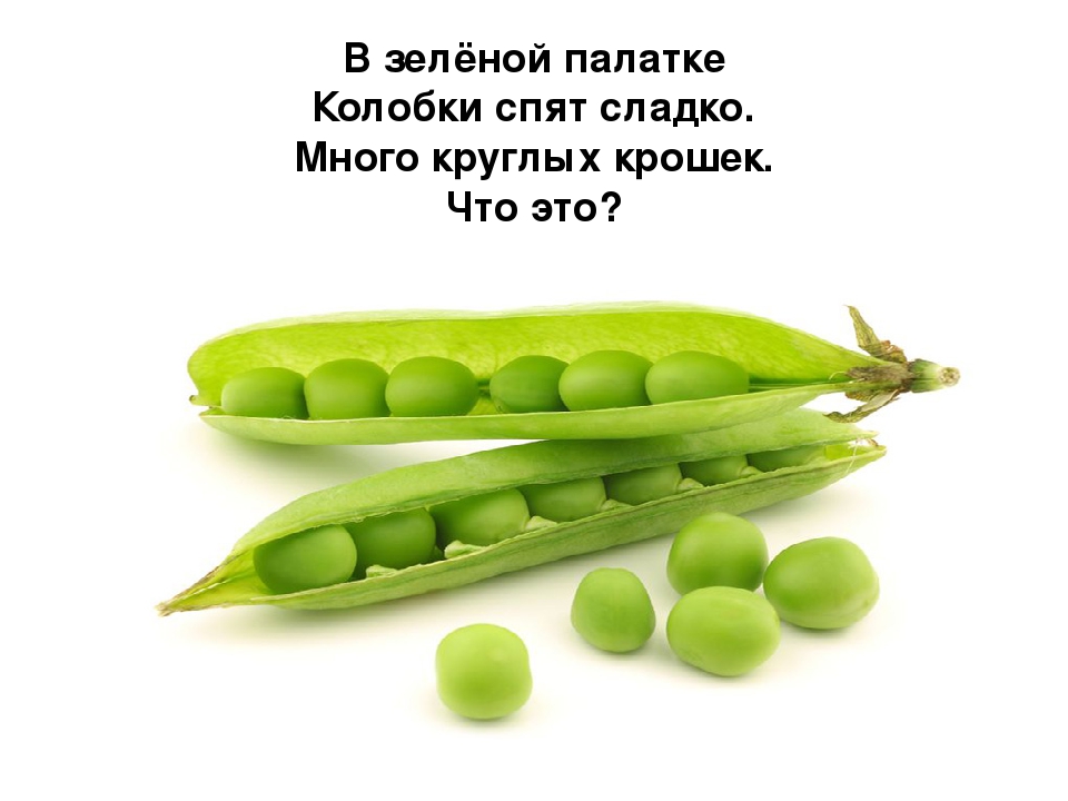 Презентация по развитию речи на тему овощи:"Загадки с грядки"