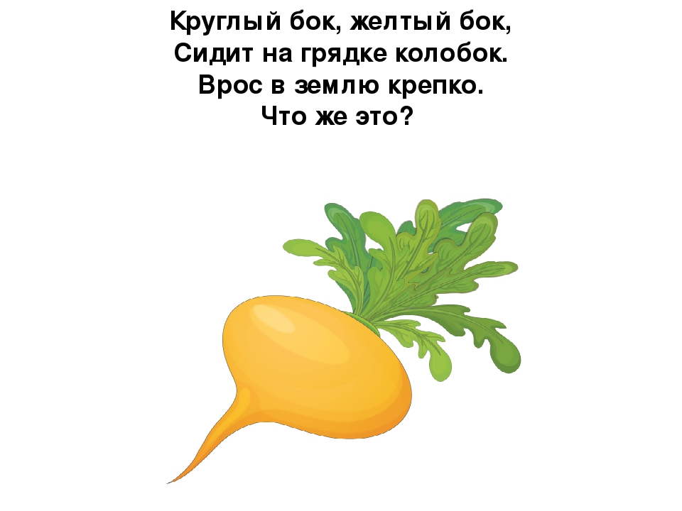 Презентация по развитию речи на тему овощи:"Загадки с грядки"