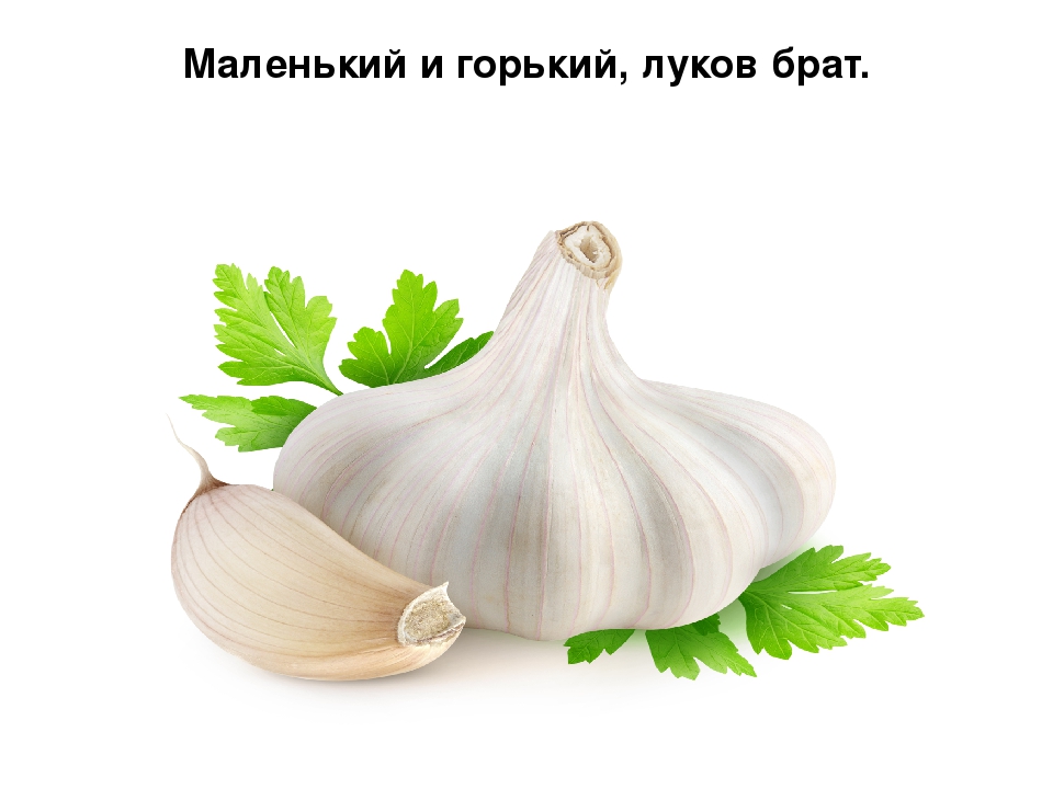 Презентация по развитию речи на тему овощи:"Загадки с грядки"