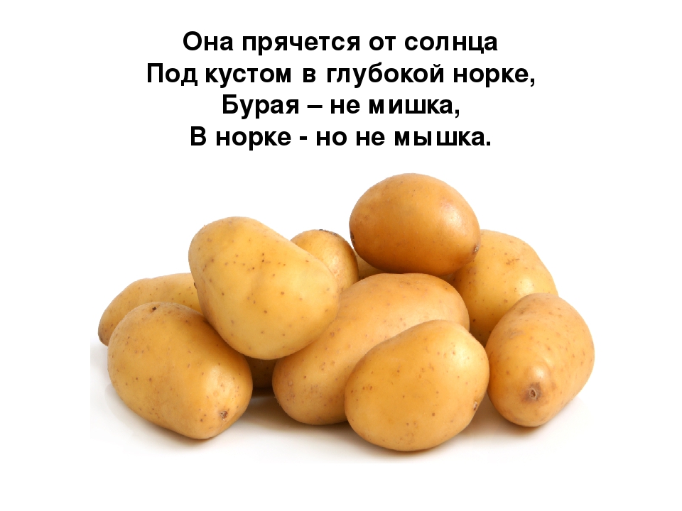 Презентация по развитию речи на тему овощи:"Загадки с грядки"