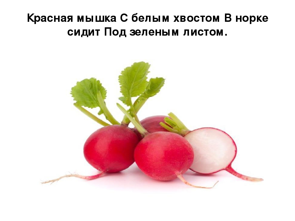 Презентация по развитию речи на тему овощи:"Загадки с грядки"