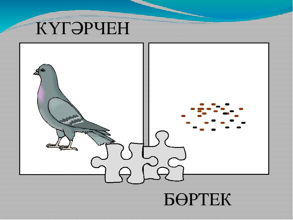 Презентация "Кем нәрсә ярата?"