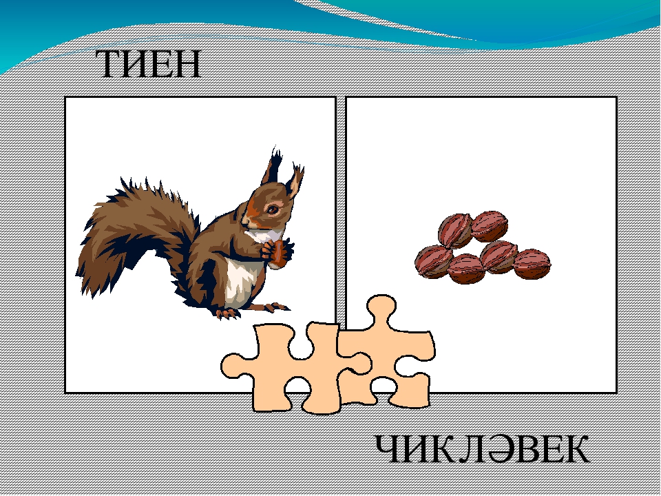 Презентация "Кем нәрсә ярата?"