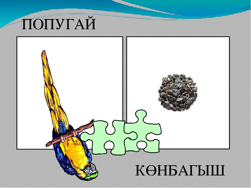 Презентация "Кем нәрсә ярата?"