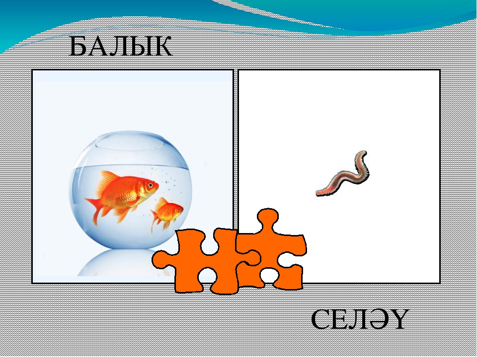 Презентация "Кем нәрсә ярата?"