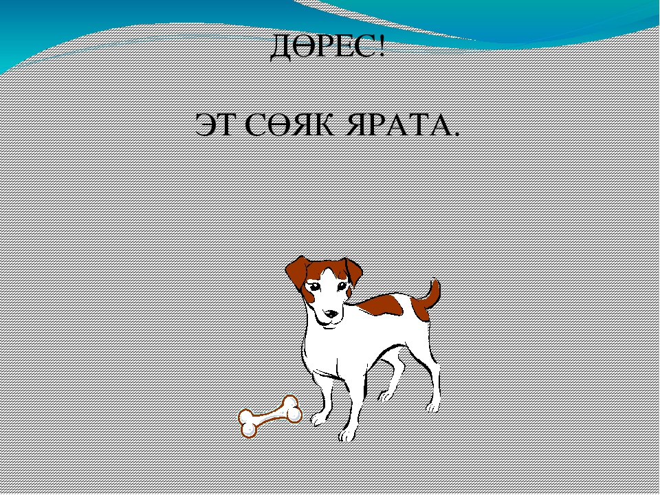 Презентация "Кем нәрсә ярата?"