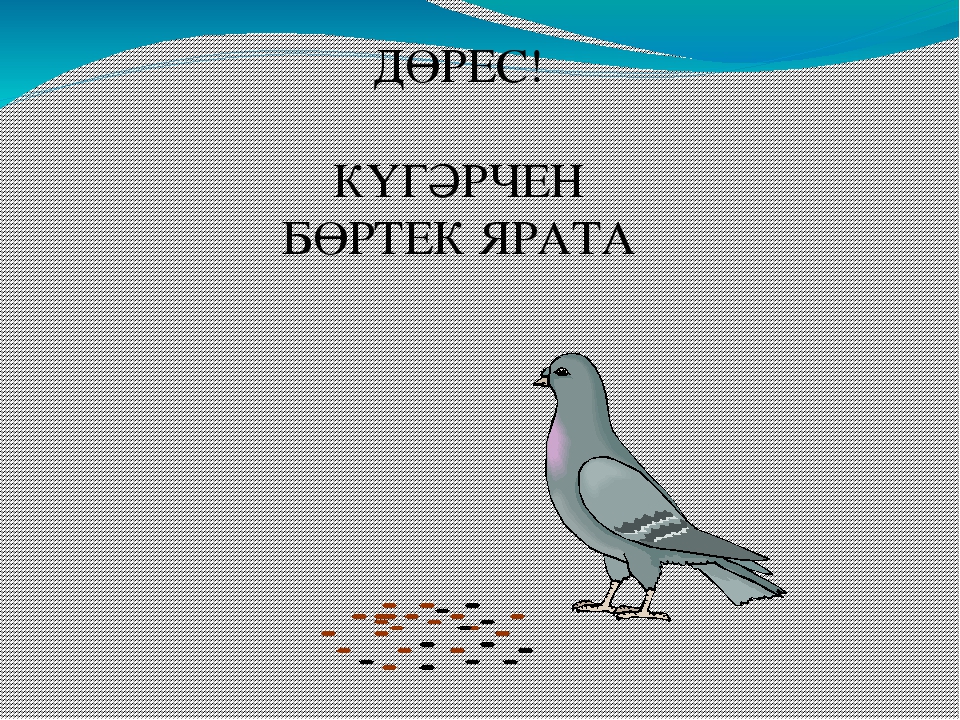 Презентация "Кем нәрсә ярата?"