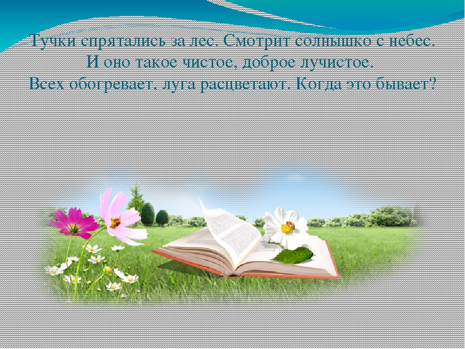 Экологическая викторина «Знатоки природы» презентация