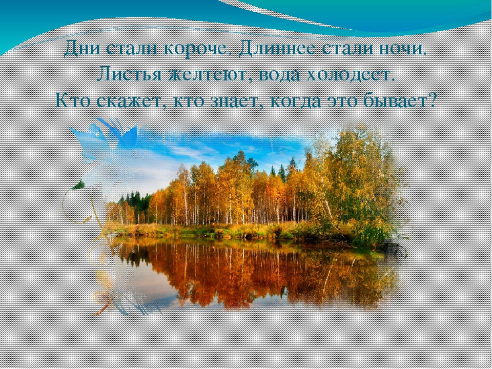 Экологическая викторина «Знатоки природы» презентация